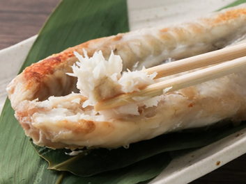 わじまふぐいしるぼし