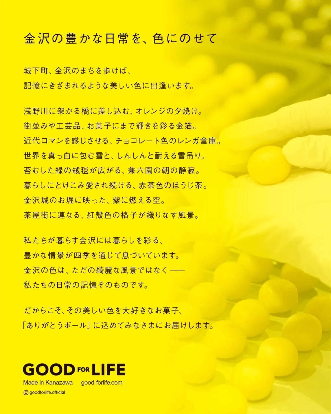 Product Image3