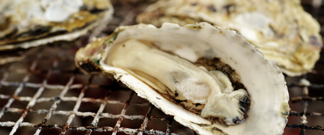 七尾湾の至宝・山成水産〈能登かき〉が “ぷりっ” と旨い理由