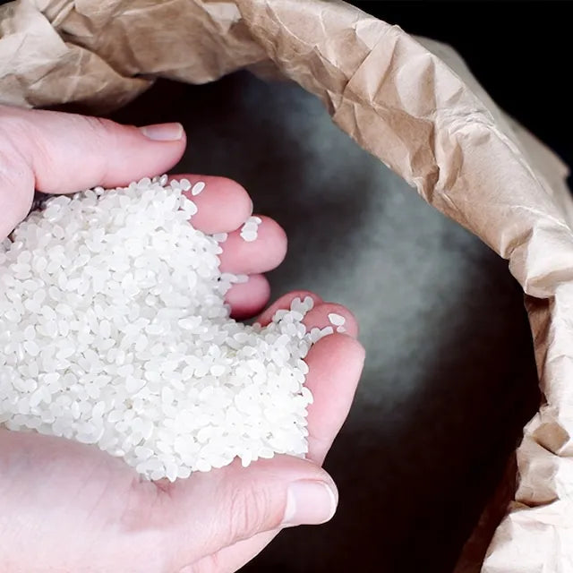 【令和7年度産】 能登島のふるさと米（5kg）【産直】