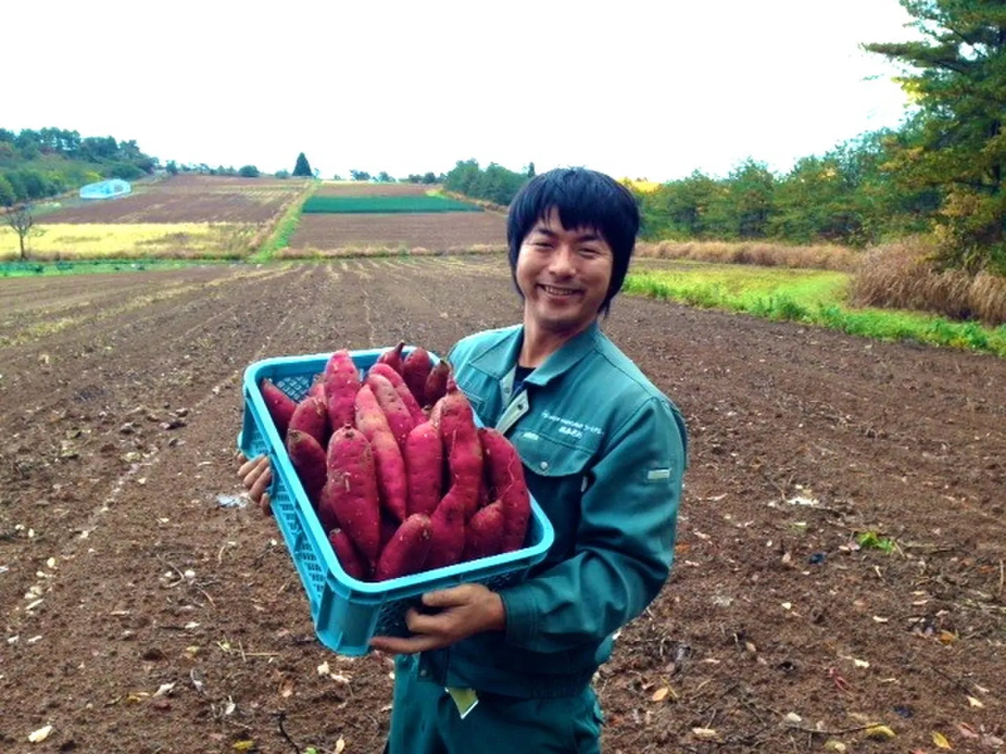 【旬まるかじり】石川県（能登）産 さつまいもスティック200g×3,かぼちゃ300g×3【冷凍】