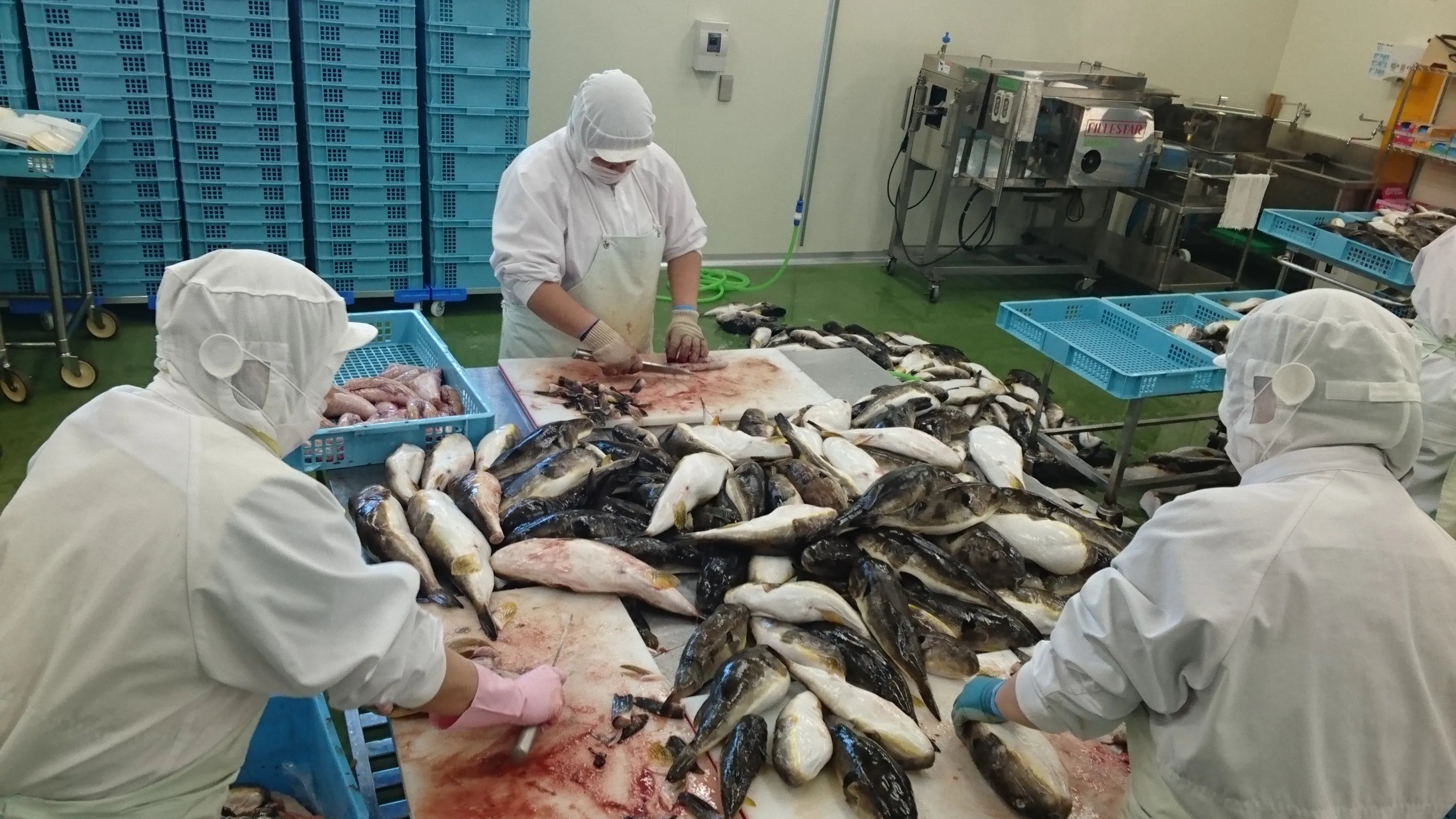 輪島産天然真ふぐ　骨付き　１ｋｇ【冷凍】