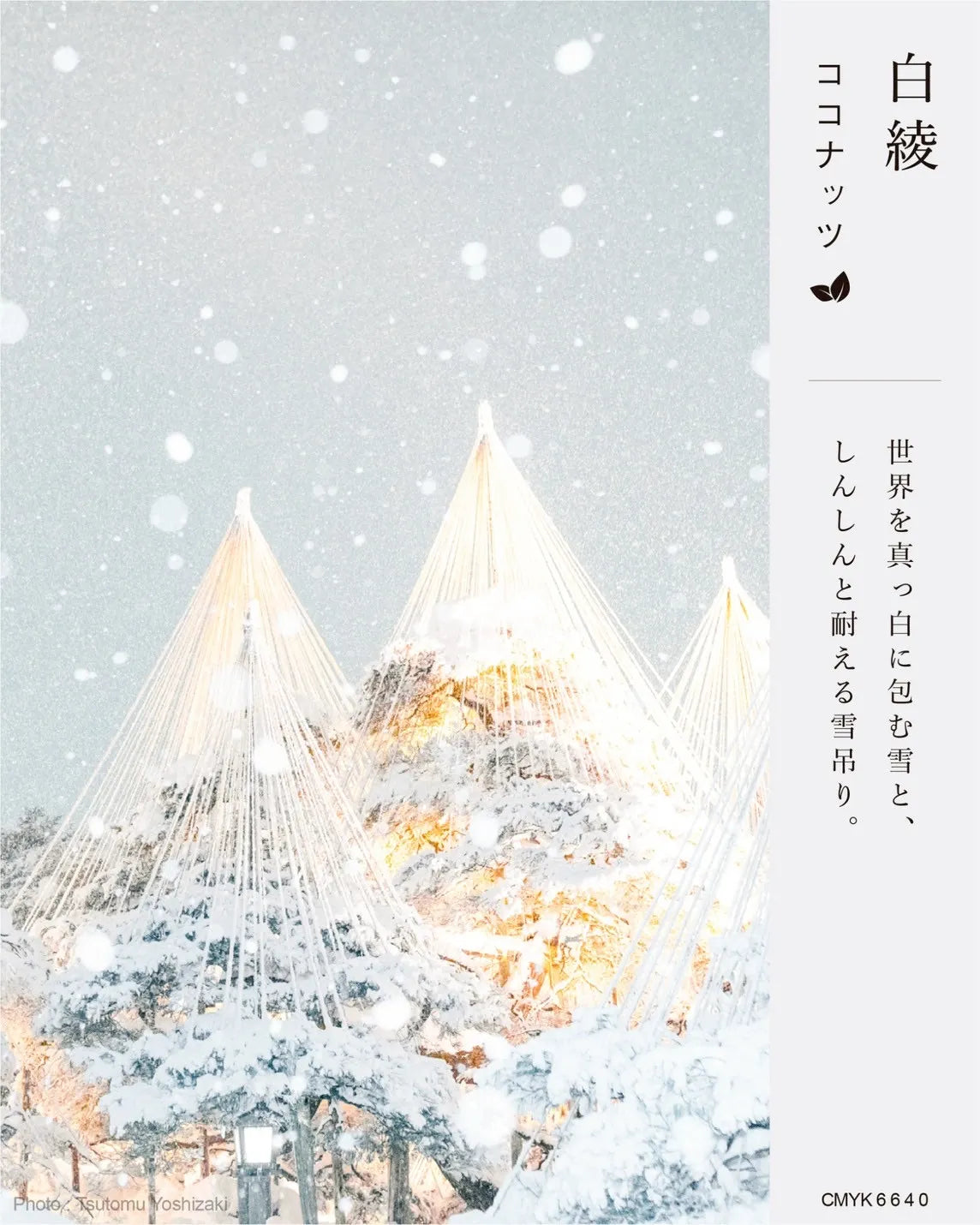 【ありがとうボールクッキー】NOTOTOオススメセットＡ