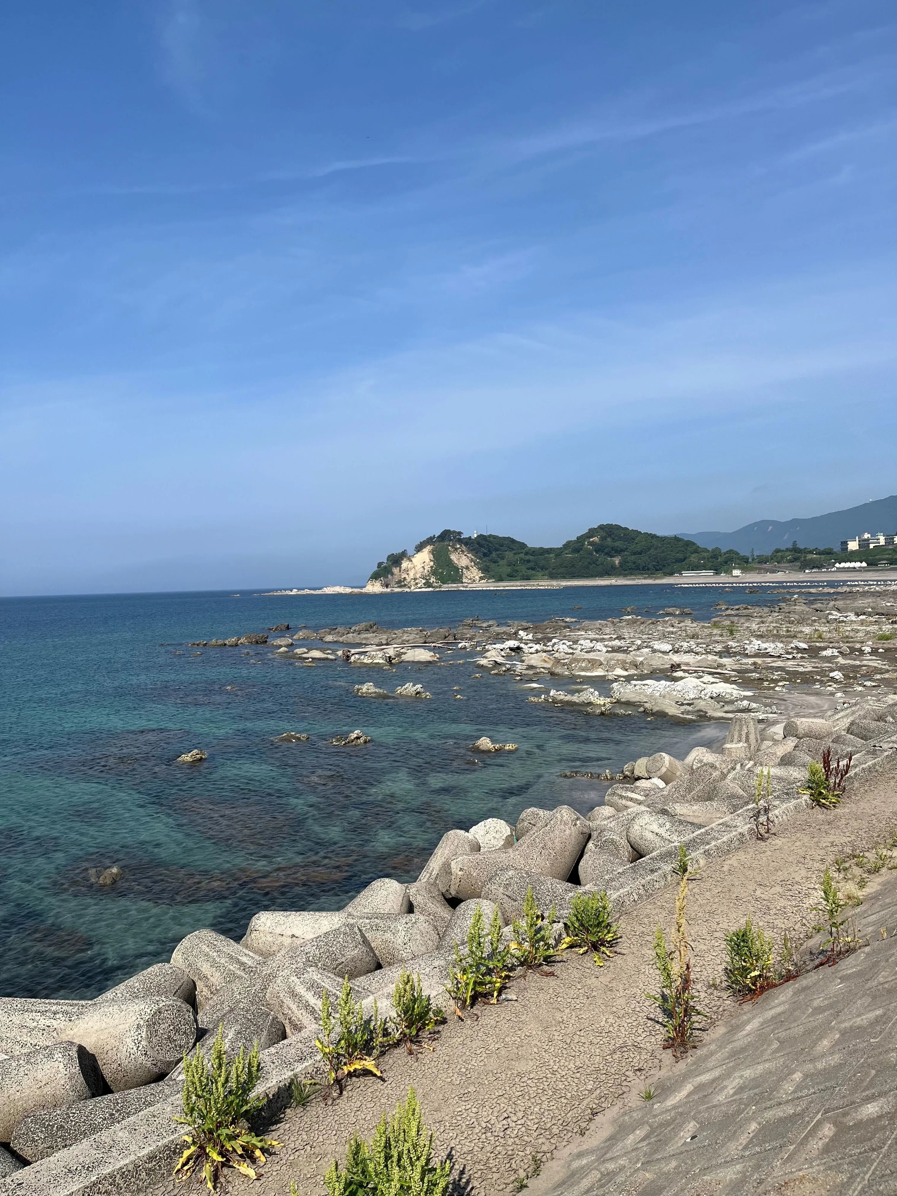 輪島産真たこボイル　1パック【冷凍】