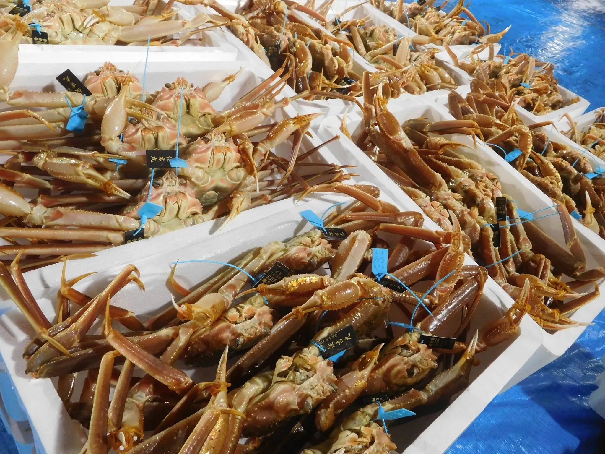 受注販売｜輪島産ベニズワイガニボイルむき身 150g×３パック【冷凍】