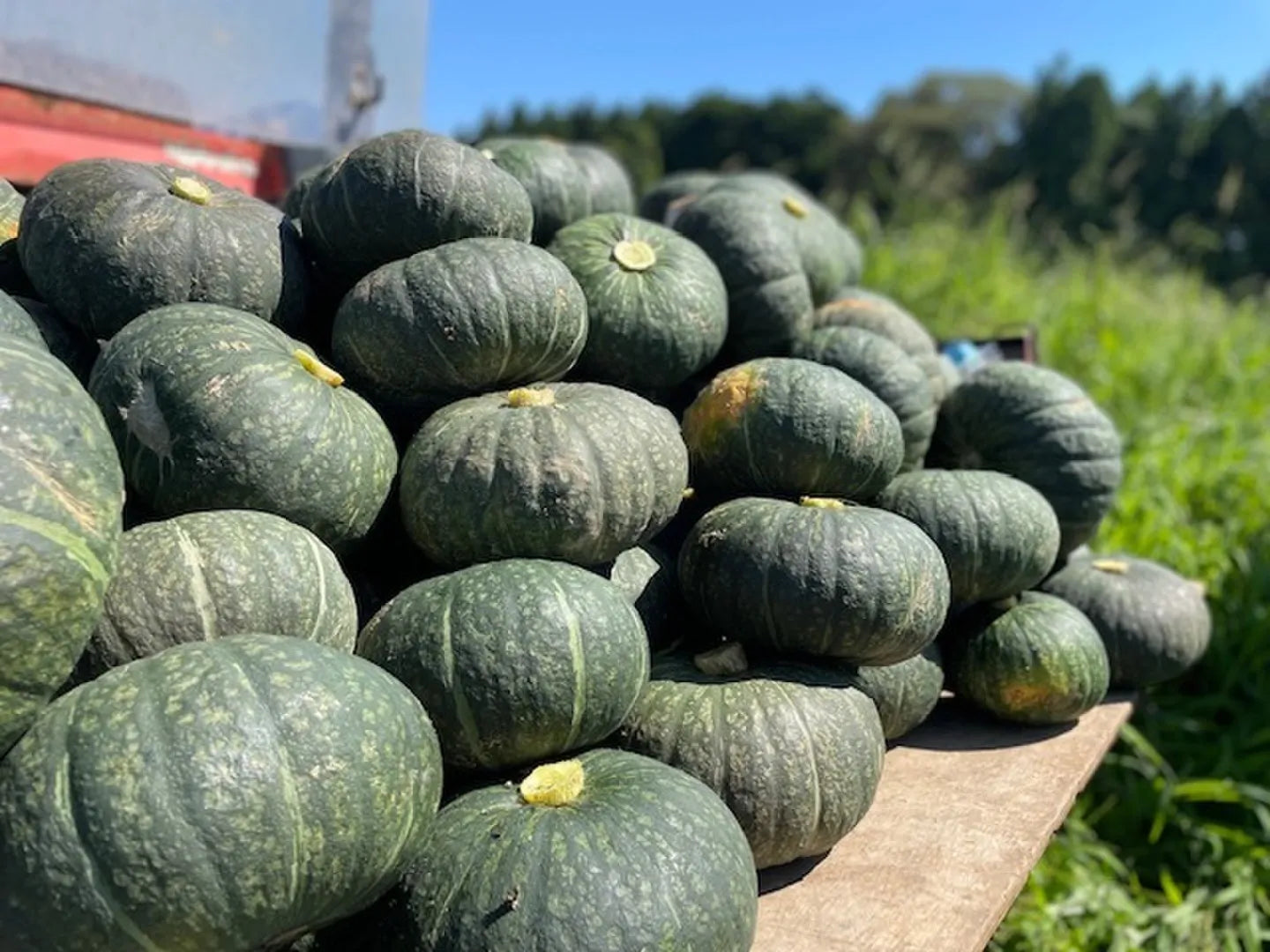 【旬まるかじり】石川県（能登）産 さつまいもスティック200g×3,かぼちゃ300g×3【冷凍】
