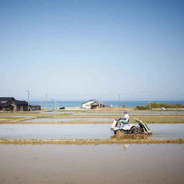 【令和7年度産】 能登島のふるさと米（5kg）【産直】
