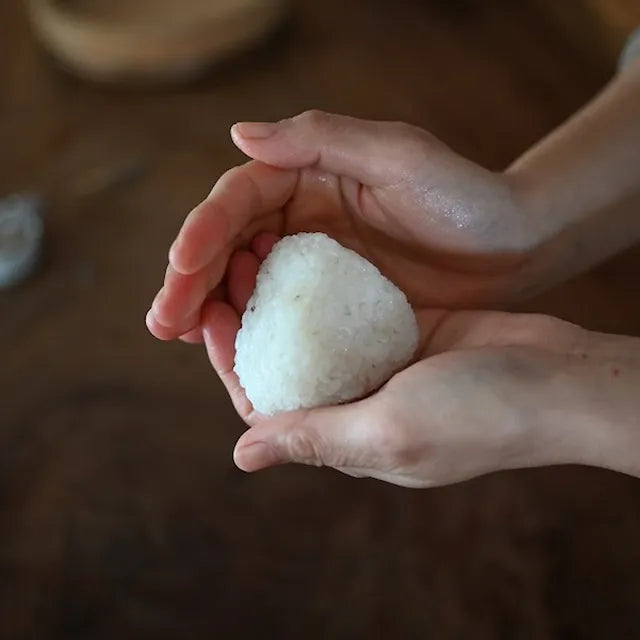 【令和7年度産】 能登島のふるさと米（5kg）【産直】