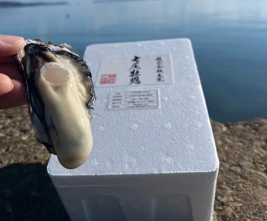 七尾牡蠣 20個【冷蔵】
